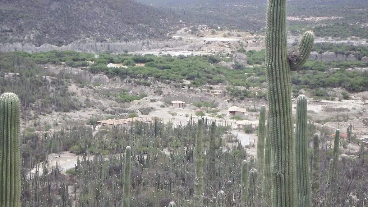 La flora y la fauna resiente los efectos de la sequía y el estiaje